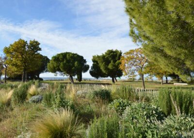 Réhabilitation du parc de la Corniche à Vitrolles