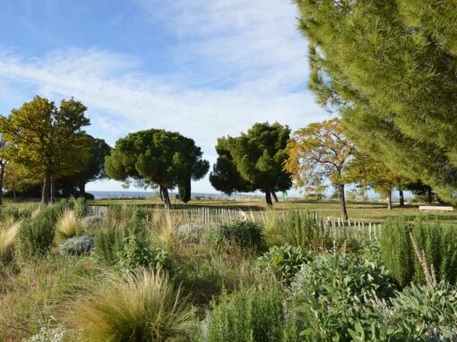 Réhabilitation du parc de la Corniche à Vitrolles