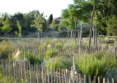 Requalification du parc du Vallat