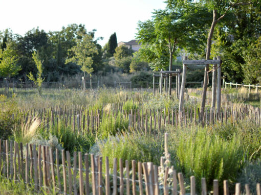 Requalification du parc du Vallat