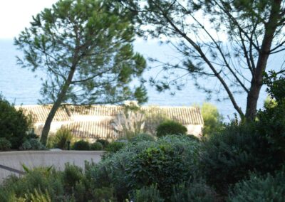 Aménagement d’un jardin méditerranéen à Saint-Tropez