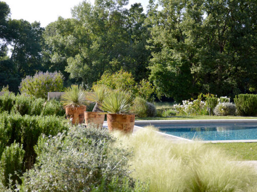 Aménagement d’un jardin provençal