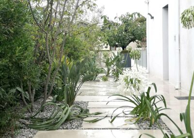 Aménagement d’un jardin méditerranéen contemporain