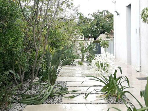 Aménagement d’un jardin méditerranéen contemporain