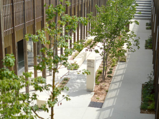 Aménagements paysagers et construction du groupe scolaire Anne Sylvestre